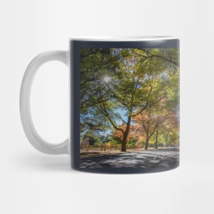 Honour Avenue, Mount Macedon, Victoria, Australia. Mug